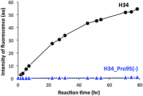 Graphical abstract: Finding and characterizing a catalytic antibody light chain, H34, capable of degrading the PD-1 molecule