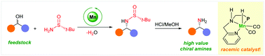 Graphical abstract: Conversion of racemic alcohols to optically pure amine precursors enabled by catalyst dynamic kinetic resolution: experiment and computation