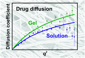 Graphical abstract: The modifying effect of supramolecular gel fibres on the diffusion of paracetamol and ibuprofen sodium on the picosecond timescale