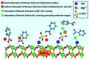 Graphical abstract: Ion-specific interactions at calcite–brine interfaces: a nano-scale study of the surface charge development and preferential binding of polar hydrocarbons