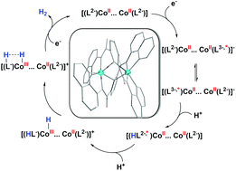 Graphical abstract: Electrocatalytic hydrogen production by dinuclear cobalt(ii) compounds containing redox-active diamidate ligands: a combined experimental and theoretical study