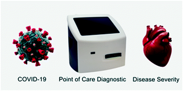 Graphical abstract: Clinical decision support tool and rapid point-of-care platform for determining disease severity in patients with COVID-19