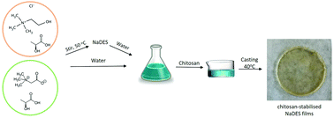 Graphical abstract: Investigation of the influence of natural deep eutectic solvents (NaDES) in the properties of chitosan-stabilised films