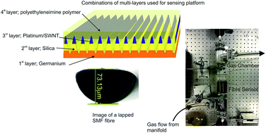 Graphical abstract: Detection of nitrous oxide using infrared optical plasmonics coupled with carbon nanotubes