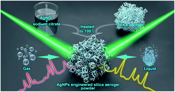 Graphical abstract: Three-dimensional porous SERS powder for sensitive liquid and gas detections fabricated by engineering dense “hot spots” on silica aerogel