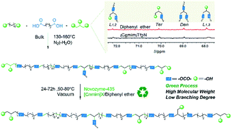 Graphical abstract: Syntheses of high molecular weight hydroxy functional copolymers by green and selective polycondensation methods