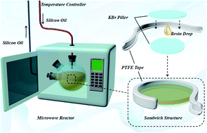 Graphical abstract: Quantitative evaluation of the non-thermal effect in microwave induced polymer curing