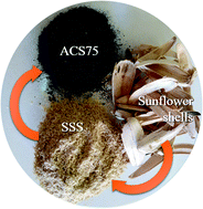 Graphical abstract: Production of modified sunflowers seed shells for the removal of bisphenol A