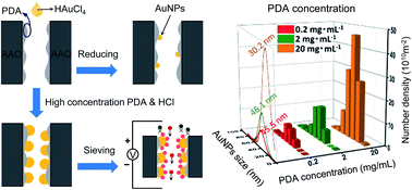 Graphical abstract: Size and density adjustment of nanostructures in nanochannels for screening performance improvement