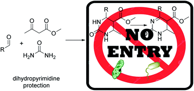 Graphical abstract: Synthesis, crystal structure and antibacterial studies of dihydropyrimidines and their regioselectively oxidized products