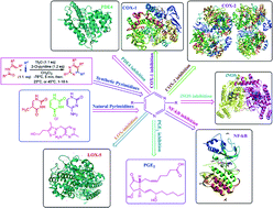 Graphical abstract: Research developments in the syntheses, anti-inflammatory activities and structure–activity relationships of pyrimidines