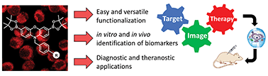 Graphical abstract: Pinkment: a synthetic platform for the development of fluorescent probes for diagnostic and theranostic applications