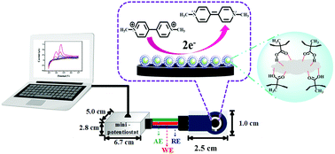 Graphical abstract: Ready-to-use paraquat sensor using a graphene-screen printed electrode modified with a molecularly imprinted polymer coating on a platinum core