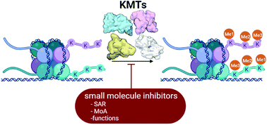 Graphical abstract: Lysine methyltransferase inhibitors: where we are now