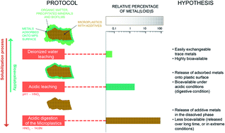 Graphical abstract: Metals in microplastics: determining which are additive, adsorbed, and bioavailable