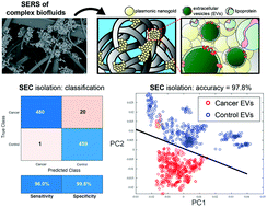 Graphical abstract: Surface enhanced Raman scattering of extracellular vesicles for cancer diagnostics despite isolation dependent lipoprotein contamination