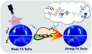 Graphical abstract: A photoacoustic Zn2+ sensor based on a merocyanine/xanthene-6-ol hybrid chromophore and its ratiometric imaging in mice