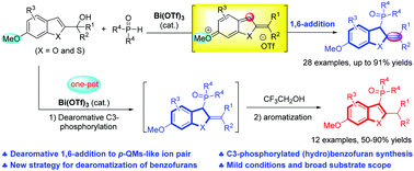 Graphical abstract: Dearomative 1,6-addition of P(O)–H to in situ formed p-QM-like ion pairs from 2-benzofuryl-ols to C3-phosphinoyl hydrobenzofurans
