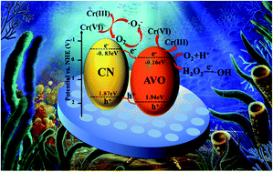 Graphical abstract: Ag3VO4/g-C3N4/diatomite ternary compound reduces Cr(vi) ion in aqueous solution effectively under visible light