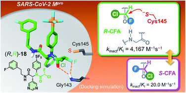 Graphical abstract: Selective covalent targeting of SARS-CoV-2 main protease by enantiopure chlorofluoroacetamide