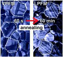 Graphical abstract: Evolution of ferroelectric domains in methylammonium lead iodide and correlation with the performance of perovskite solar cells