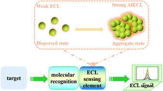 Graphical abstract: Electrochemiluminescent sensor based on an aggregation-induced emission probe for bioanalytical detection