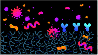 Graphical abstract: Biorecognition antifouling coatings in complex biological fluids: a review of functionalization aspects