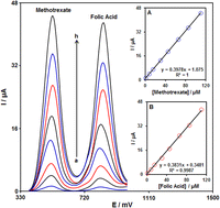 Graphical abstract: Electrochemical sensing of methotrexate in the presence of folic acid using PAMAM dendrimer-functionalized multiwalled carbon nanotube-modified electrode