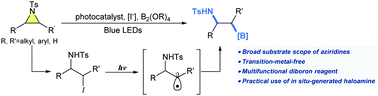 Graphical abstract: A tandem process for the synthesis of β-aminoboronic acids from aziridines with haloamine intermediates