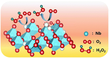 Graphical abstract: Oxygen vacancies on Nb2O5 enhanced the performance of H2O2 electrosynthesis from O2 reduction