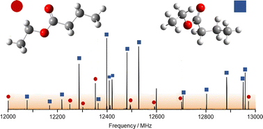 Graphical abstract: Benchmarking quantum chemical methods for accurate gas-phase structure predictions of carbonyl compounds: the case of ethyl butyrate