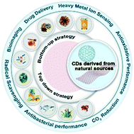 Graphical abstract: Carbon dots derived from natural sources and their biological and environmental impacts