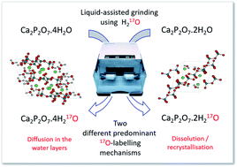 Graphical abstract: 17O solid state NMR as a valuable tool for deciphering reaction mechanisms in mechanochemistry: the case study on the 17O-enrichment of hydrated Ca-pyrophosphate biominerals