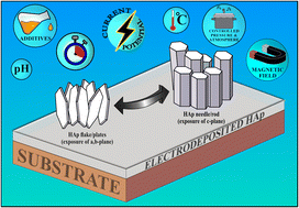 Graphical abstract: Hydroxyapatite coatings: a critical review on electrodeposition parametric variations influencing crystal facet orientation towards enhanced electrochemical sensing