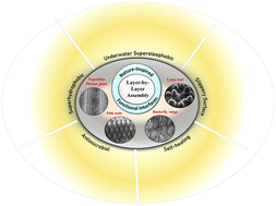 Graphical abstract: Responsive and reactive layer-by-layer coatings for deriving functional interfaces