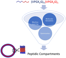 Graphical abstract: Computational design of self-assembling peptide chassis materials for synthetic cells