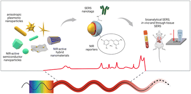 Graphical abstract: Challenges and opportunities for SERS in the infrared: materials and methods