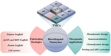 Graphical abstract: Bioorthogonal nanozymes: an emerging strategy for disease therapy