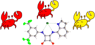 Graphical abstract: The role of indolyl substituents in squaramide-based anionophores