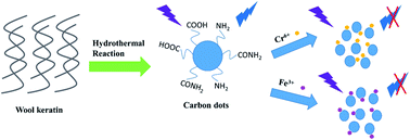 Graphical abstract: Green fluorescent nanomaterials for rapid detection of chromium and iron ions: wool keratin-based carbon quantum dots