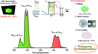 Graphical abstract: Highly efficient green up-conversion emission from fluoroindate glass nanoparticles functionalized with a biocompatible polymer
