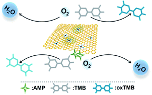 Graphical abstract: Reversible inhibition of the oxidase-like activity of Fe single-atom nanozymes for drug detection