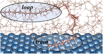 Graphical abstract: Conformations of polyolefins on platinum catalysts control product distribution in plastics recycling