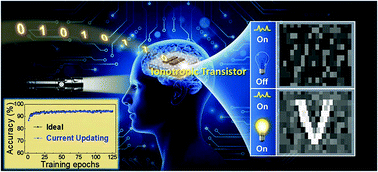 Graphical abstract: Proton gated oxide neuromorphic transistors with bionic vision enhancement and information decoding