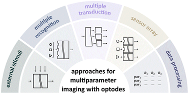 Graphical abstract: Optical sensors (optodes) for multiparameter chemical imaging: classification, challenges, and prospects