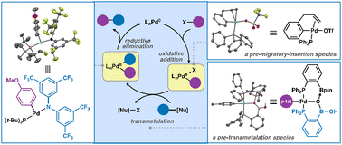 Graphical abstract: Structural authentication of intermediates of mechanistic significance in palladium- and nickel-catalysed cross-couplings: case studies