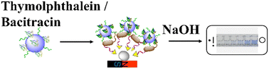 Graphical abstract: pH-Triggered visual detection of Escherichia coli based on the co-assembly of bacitracin and thymolphthalein