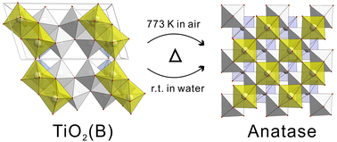 Graphical abstract: Phase transition behaviour and mechanism of 2D TiO2(B) nanosheets through water-mediated removal of surface ligands