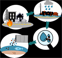 Graphical abstract: Wildland–urban interface wildfire increases metal contributions to stormwater runoff in Paradise, California