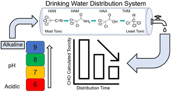 Graphical abstract: Reduction of haloacetonitrile-associated risk by adjustment of distribution system pH